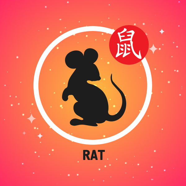 Rat