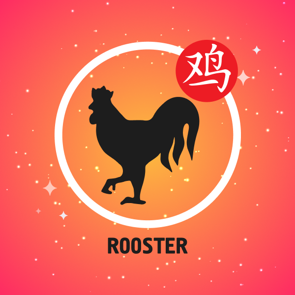 Rooster